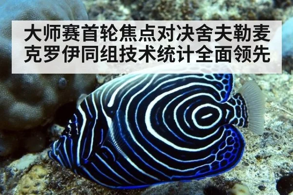 大师赛首轮焦点对决舍夫勒麦克罗伊同组技术统计全面领先